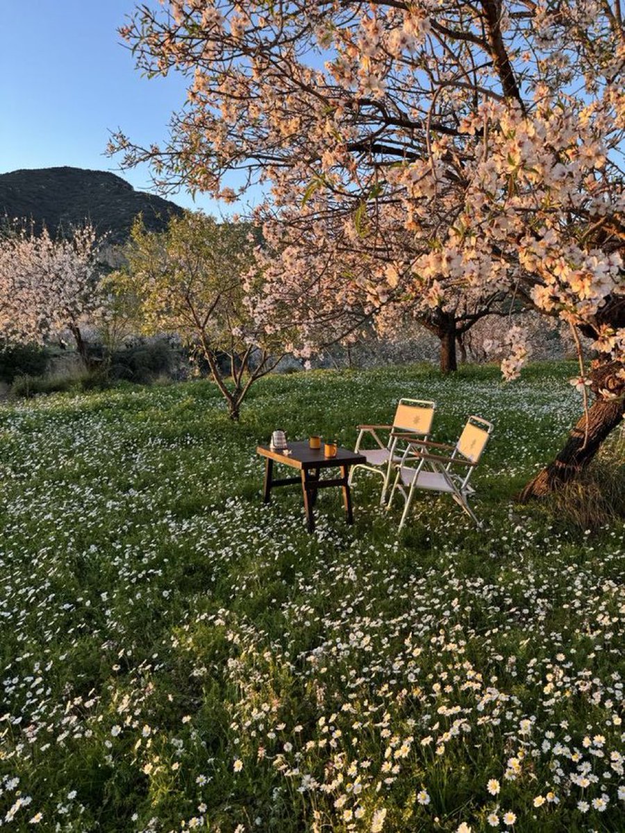 söyle bir yerde akşama kadar boş şeyler konuşmak çok iyi gelirdi