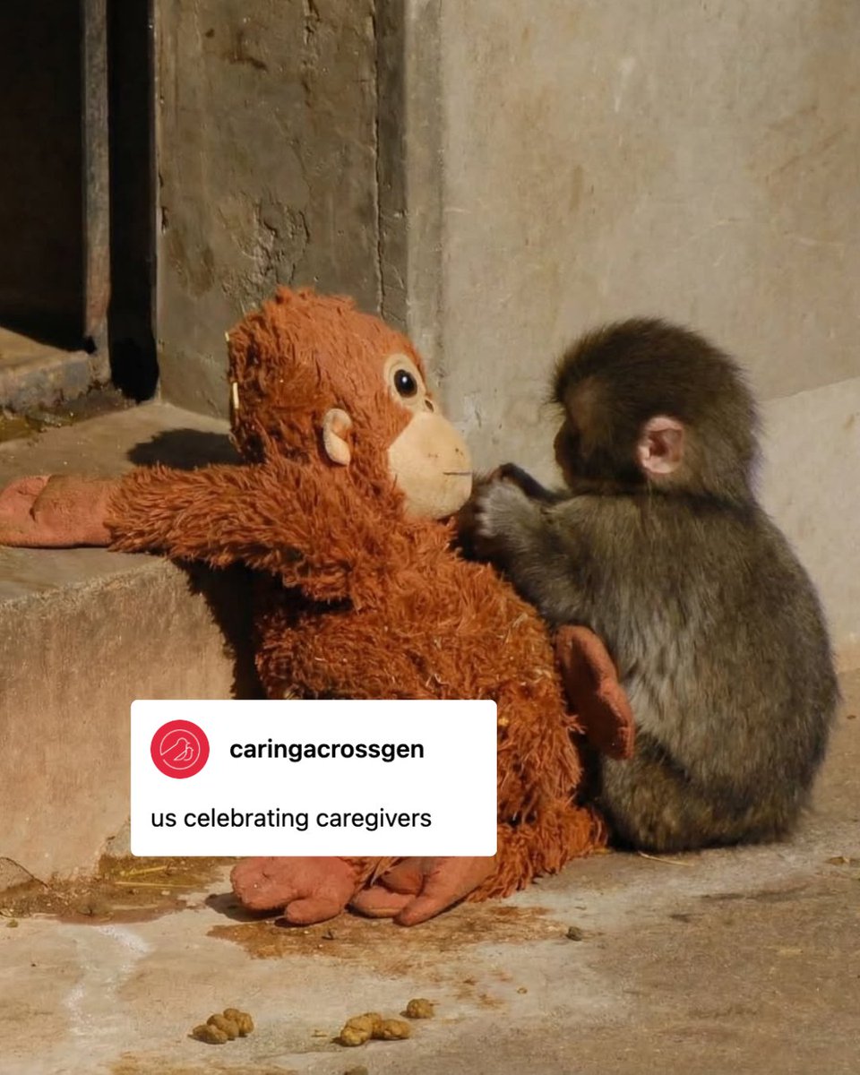 Caring Across Generations #CareCantWait tweet media