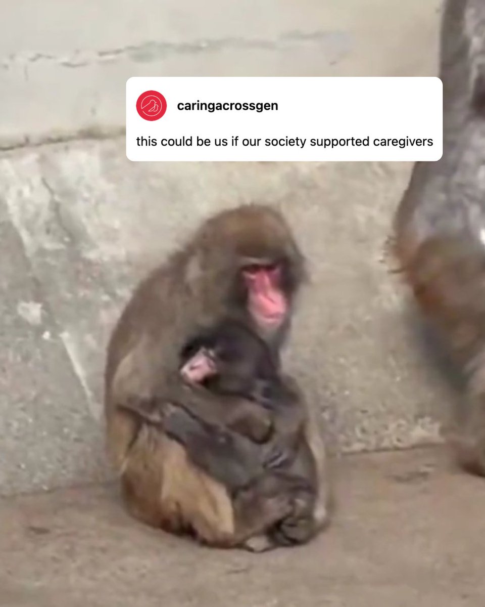 Caring Across Generations #CareCantWait tweet media