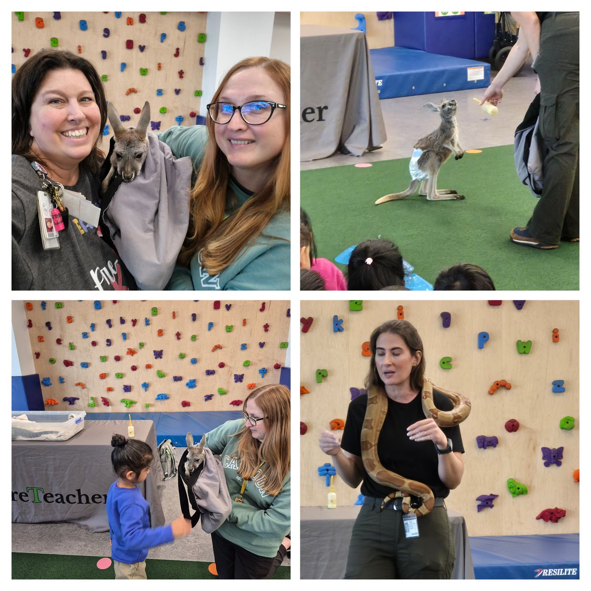 Becky Stout tweet media