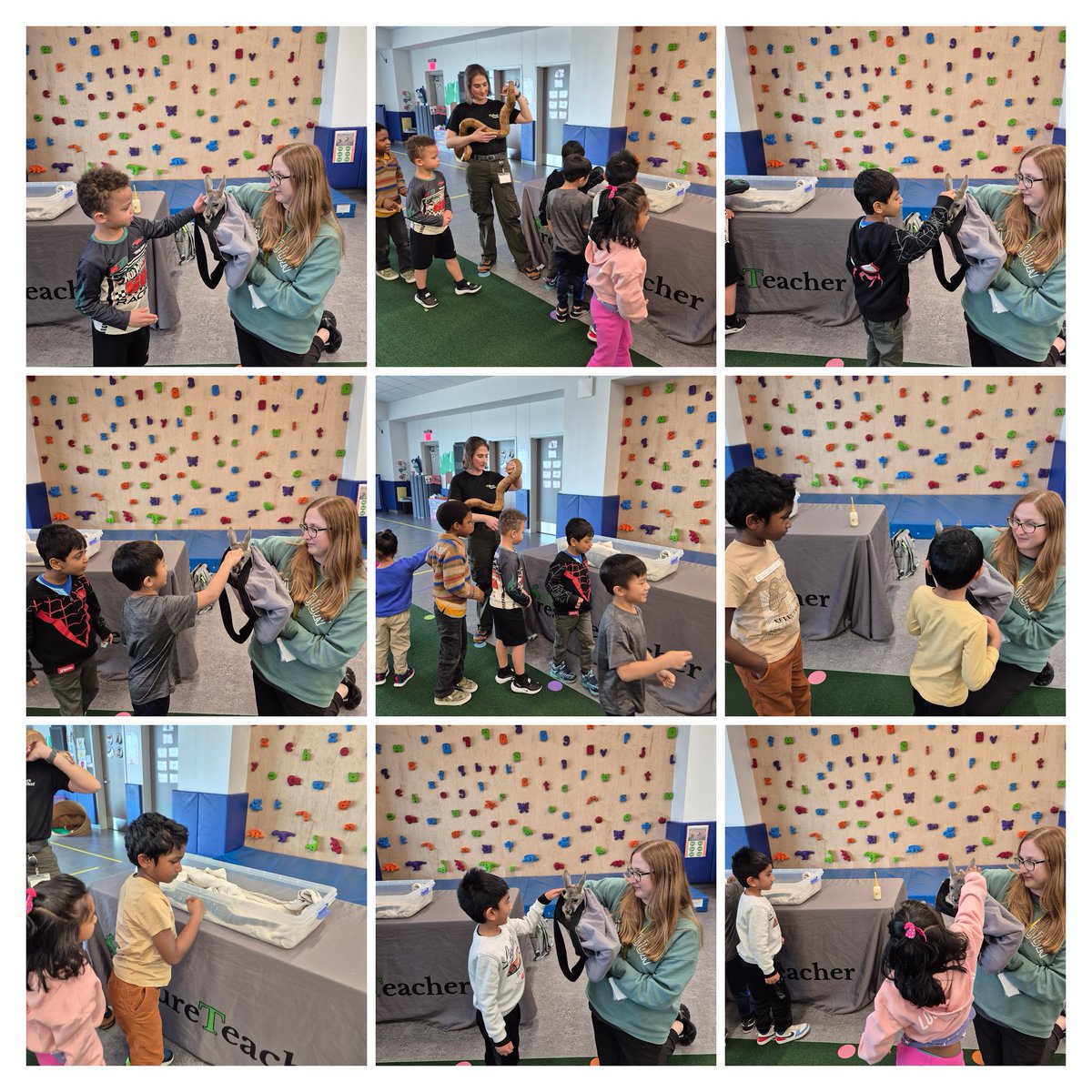 Becky Stout tweet media