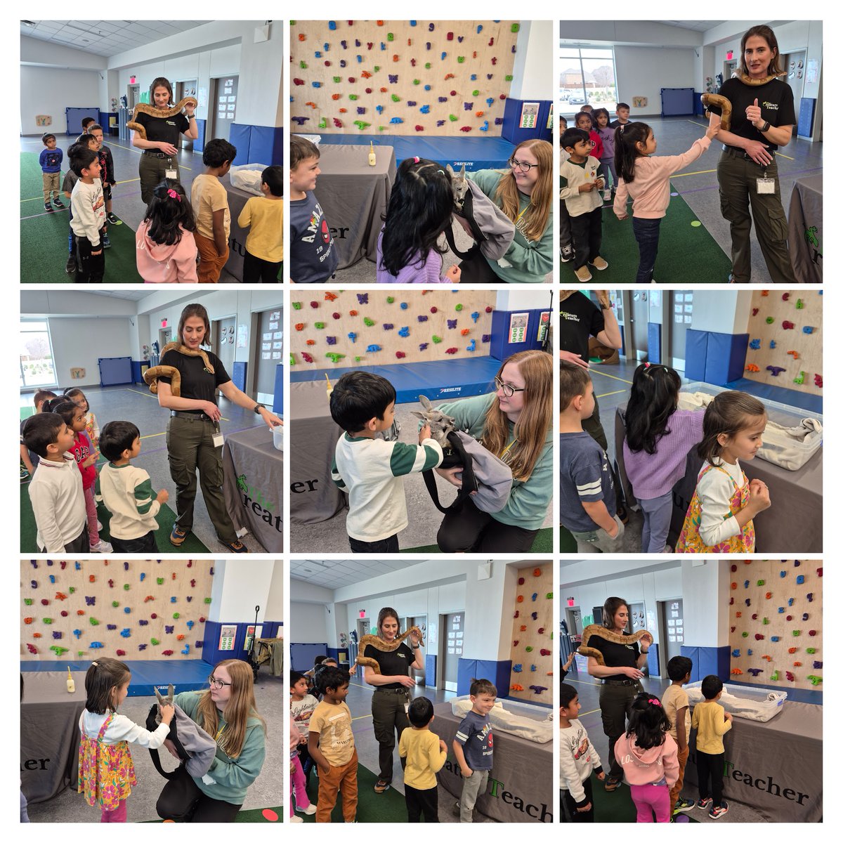 Becky Stout tweet media