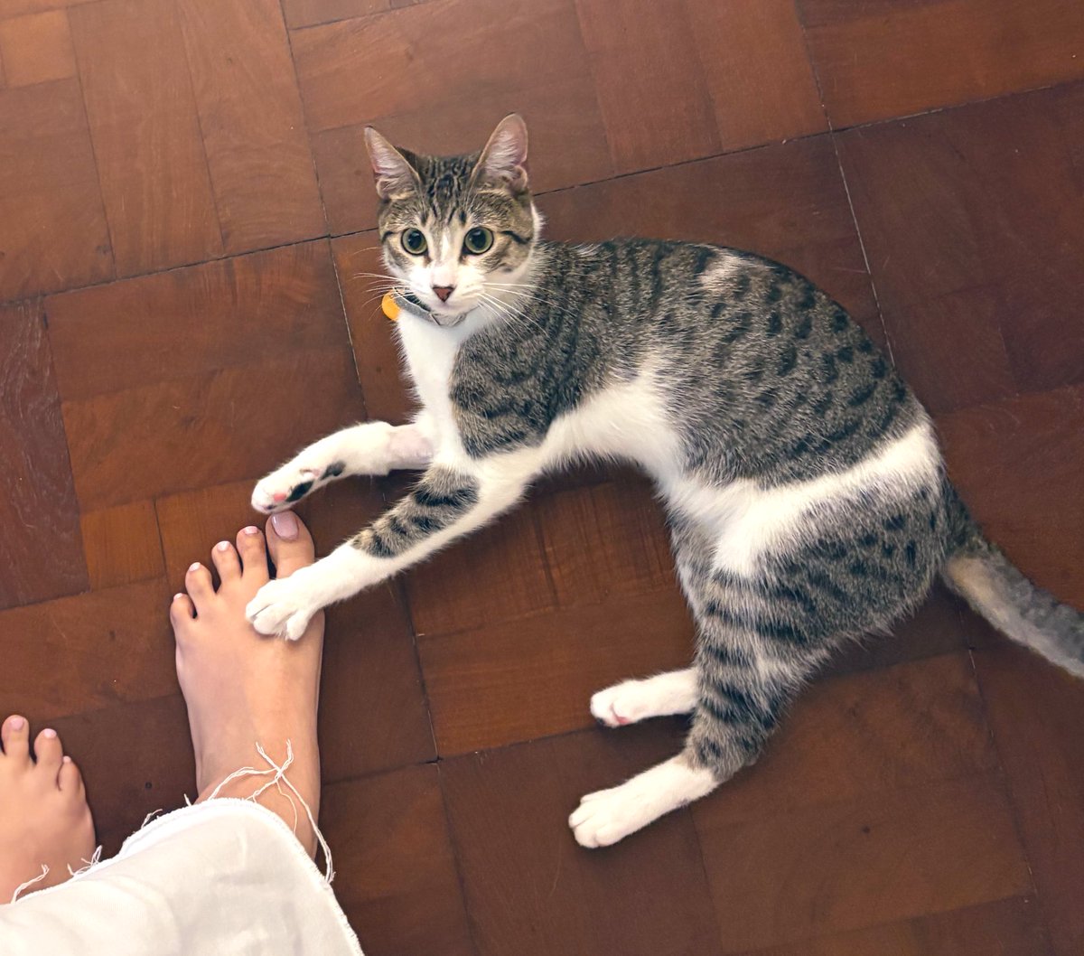 Feliz día a esta loca linda