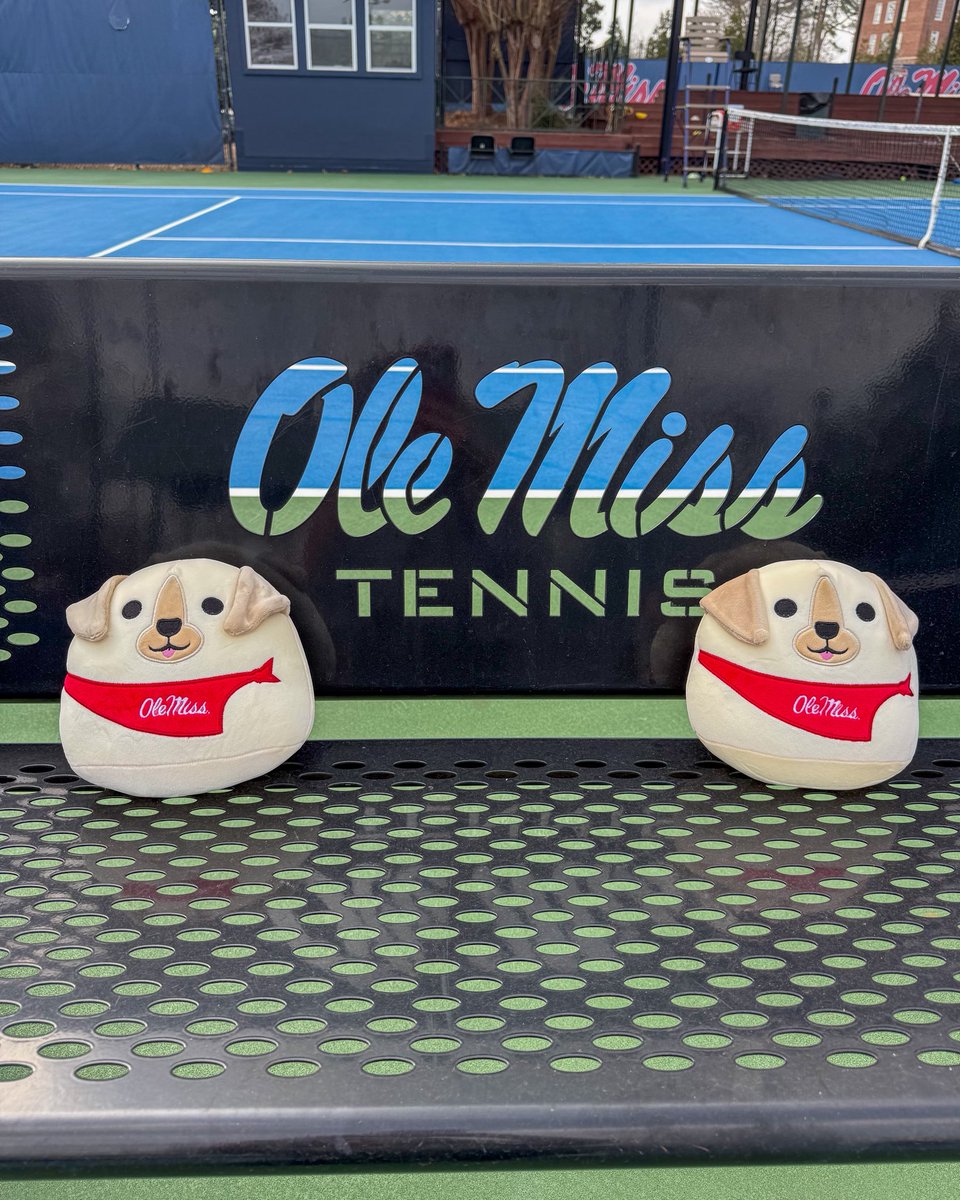 OleMissWTennis's tweet photo. ‼️Giveaway‼️

Come support your Rebs this Sunday against LSU and receive a generic yellow lab with red bandana stuffed animal! 

#HottyToddy https://t.co/Qu5MJAurq7