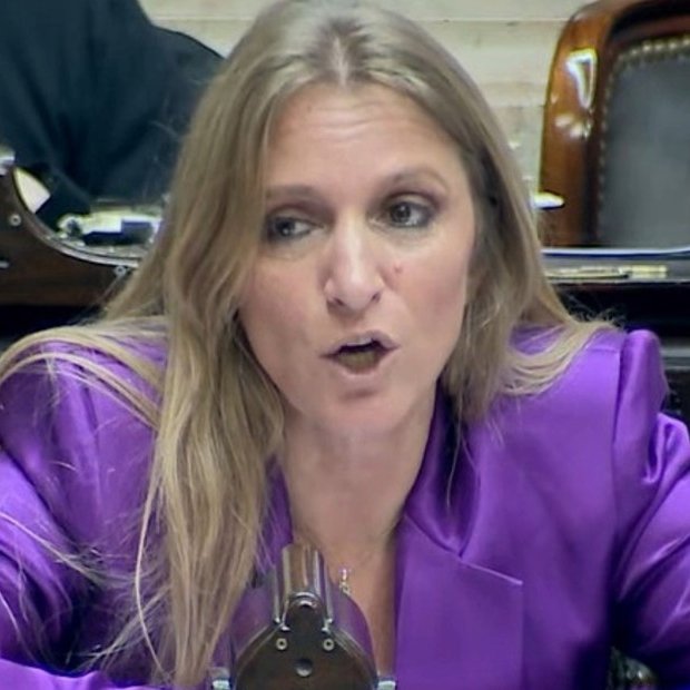 Piden expulsar a Carignano por arrancar cables de las grabadoras de los taquígrafos del Congreso. Además, buscan avanzar con una denuncia penal.
Carignano dijo: "Había que hacer cualquier cosa para que esa sesión no se llevara a cabo y lo volvería a hacer". Es una delincuente.