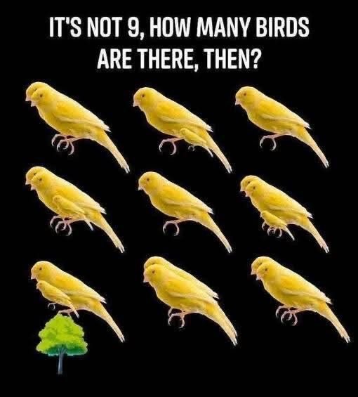Brain test , only for genius
How many Birds can you see?

99%will fail