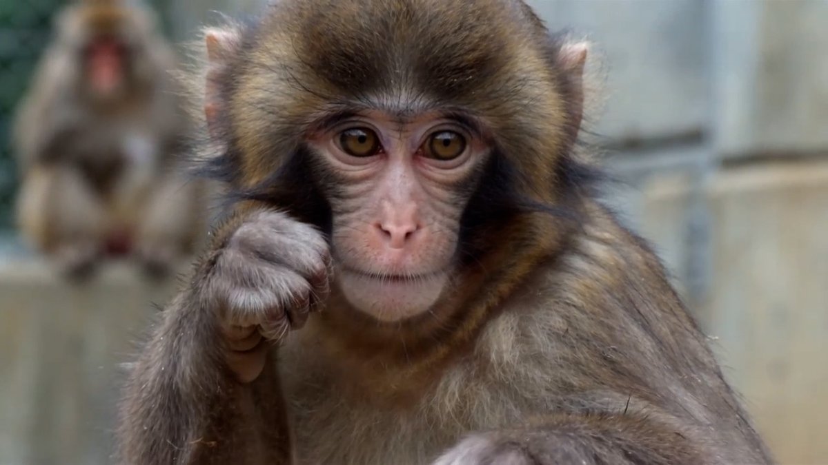 AI generated video preview