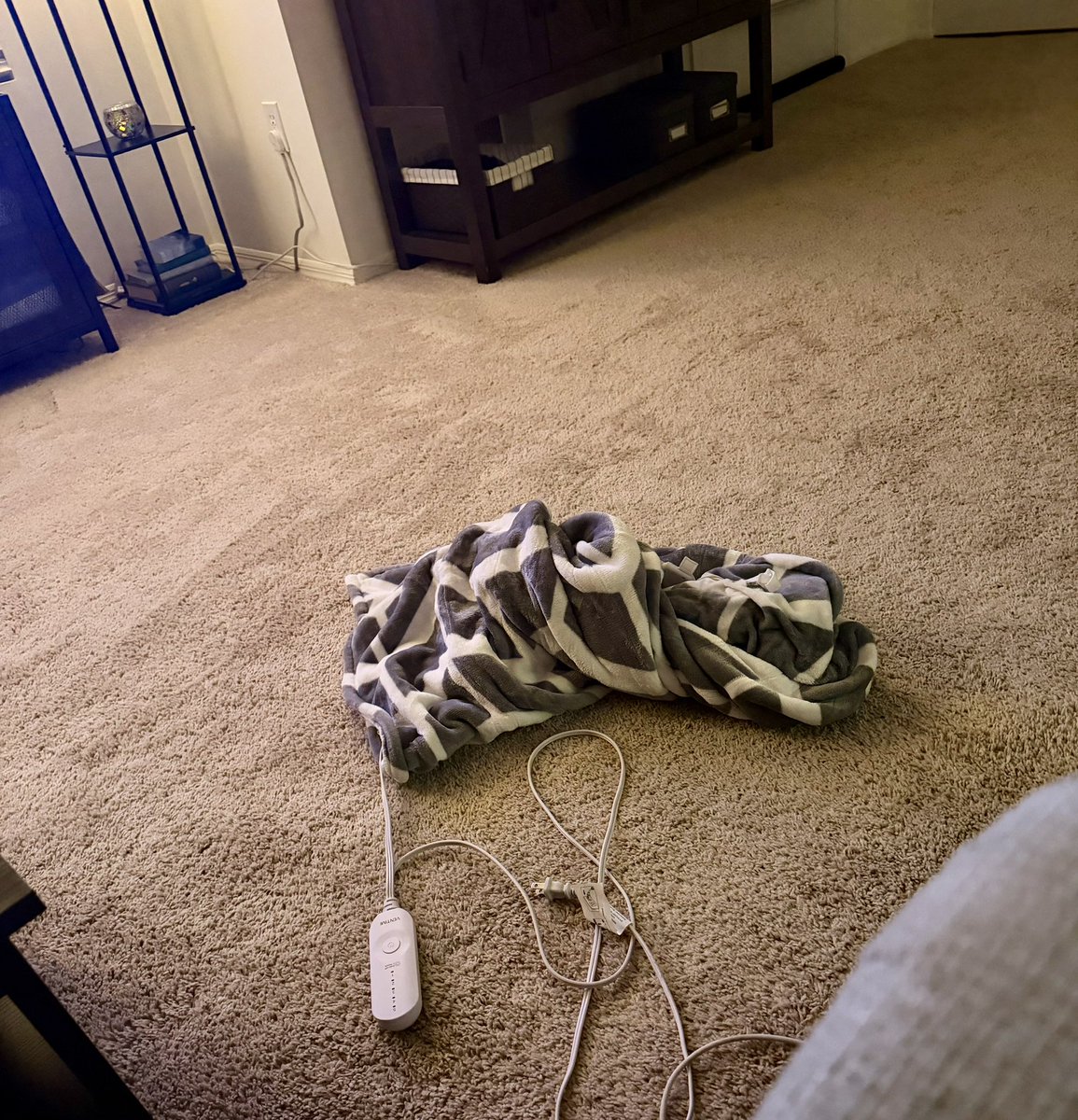 RIP heated blanket, I use it every day and washed it a lot - The replacement is already on its way - A heated blanket is a must have for me! Anyone else love theirs 🙂
