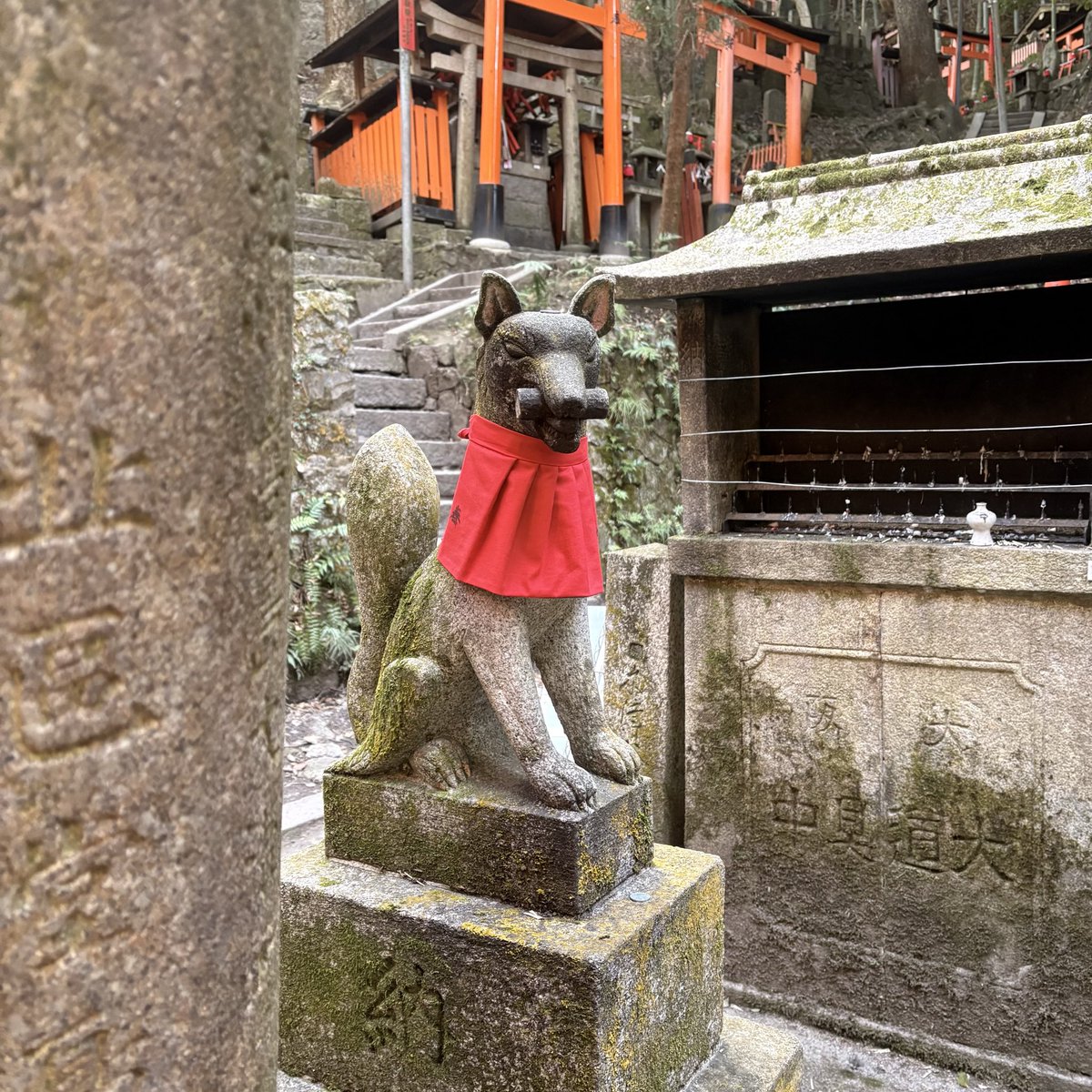necocimani's tweet photo. 「犬がかわいい」と呟いて、中1ムスメに鼻で笑われる51歳。数秒後、笑われた理由に気づく。 https://t.co/oOsTso0EIE