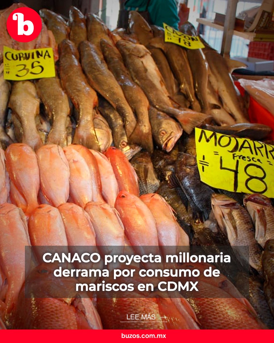 CANACO proyecta millonaria derrama por consumo de mariscos en CDMX 🦐🐟

La CANACO-CDMX llamó a comprar en establecimientos formales.

Lee más: buzos.com.mx/noticia/canaco…