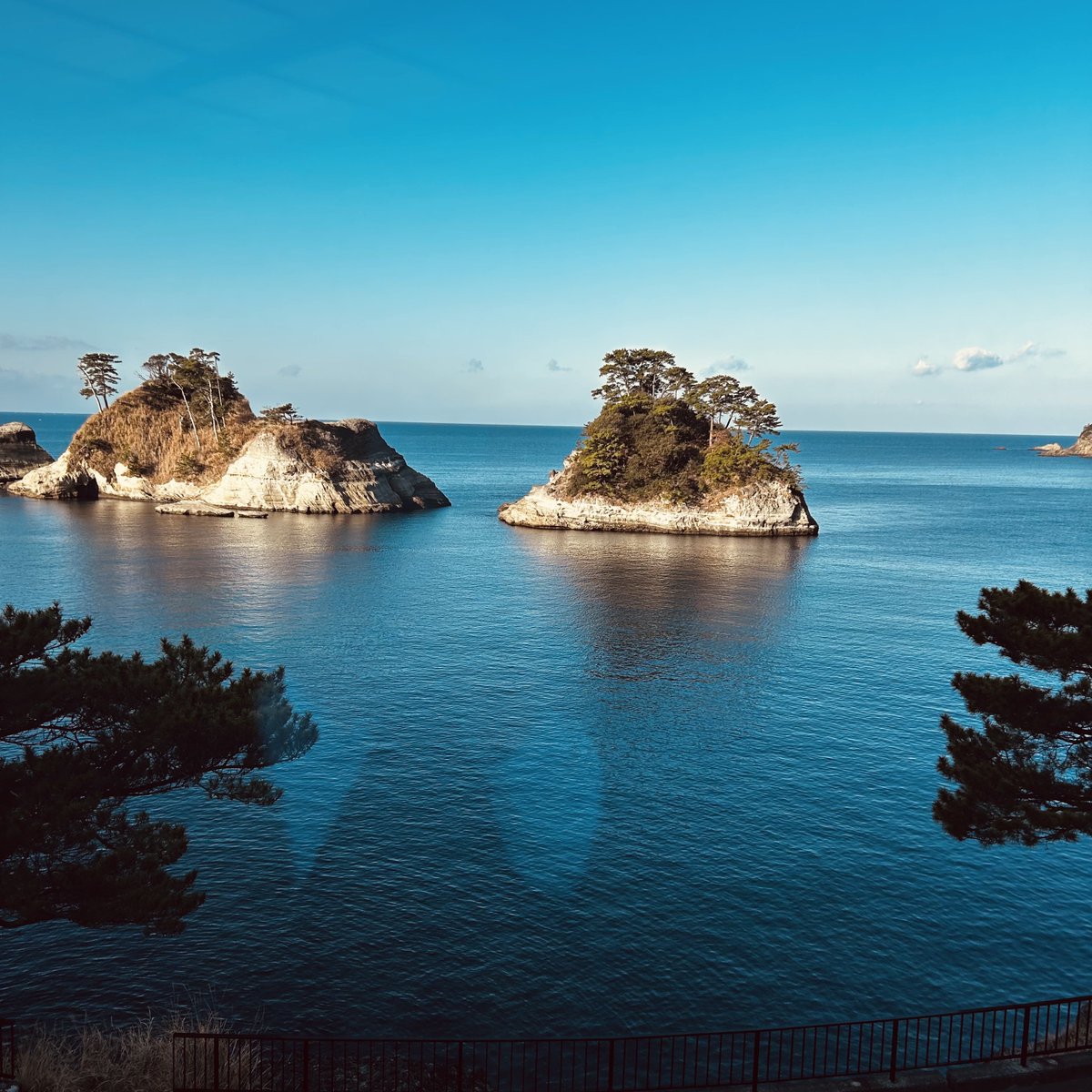 mago.c___¿* tweet media