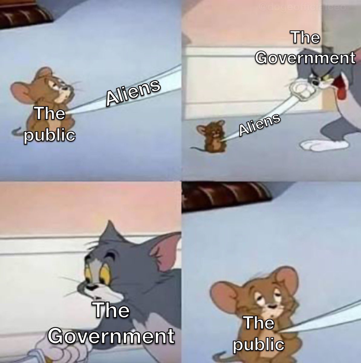 Sir Doge of the Coin ⚔️ tweet media