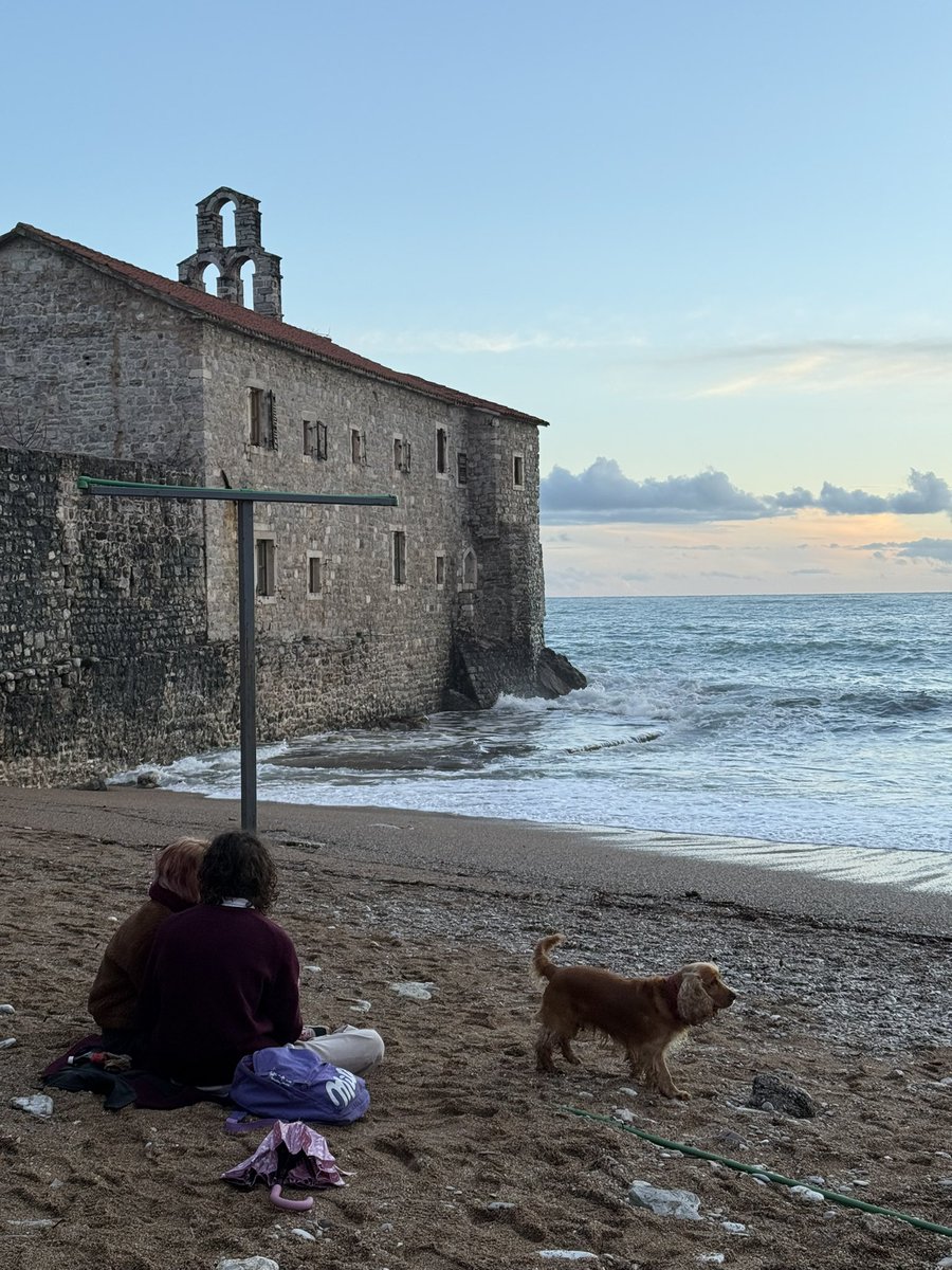 женщина-булка tweet media