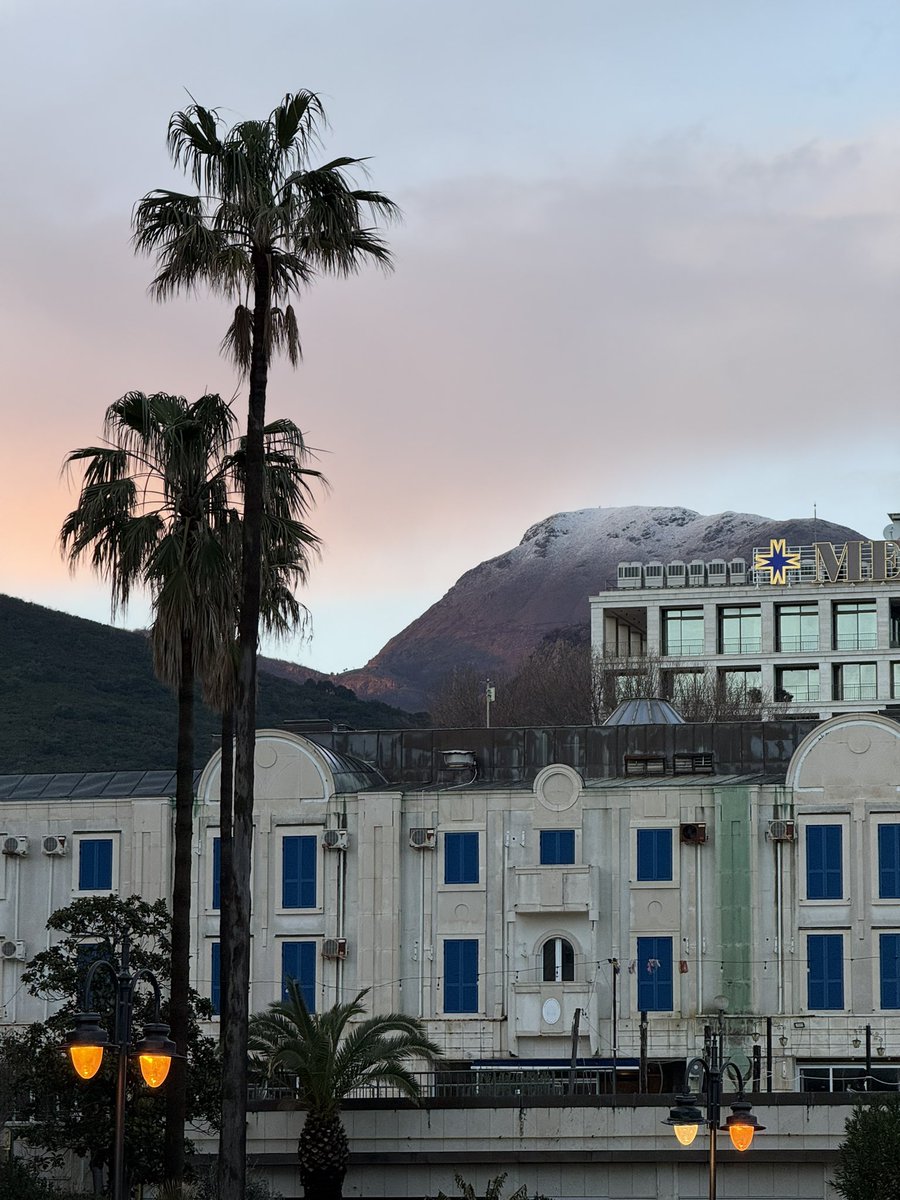 женщина-булка tweet media