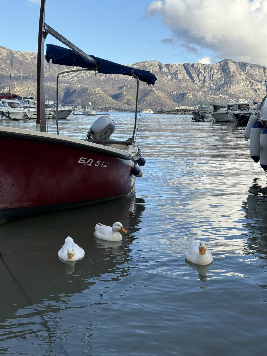 женщина-булка tweet media