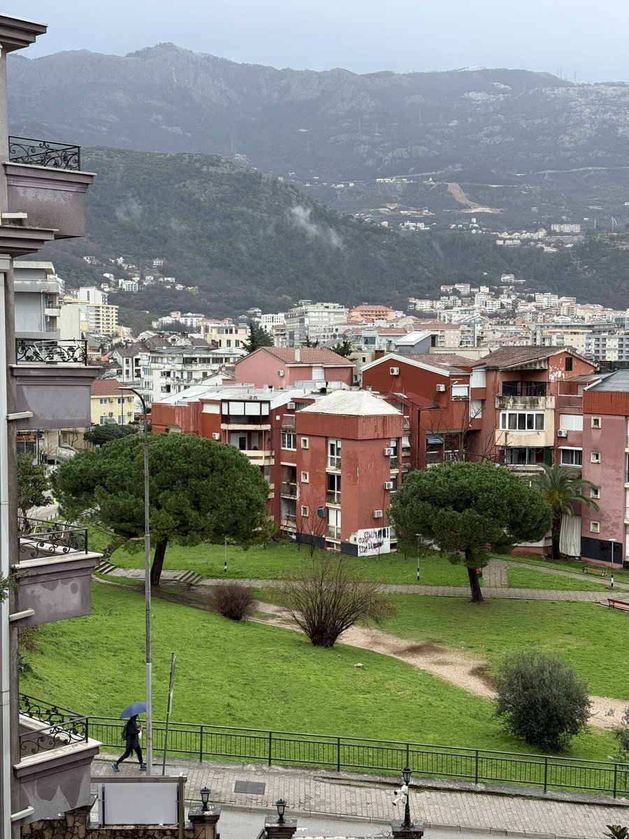 женщина-булка tweet media