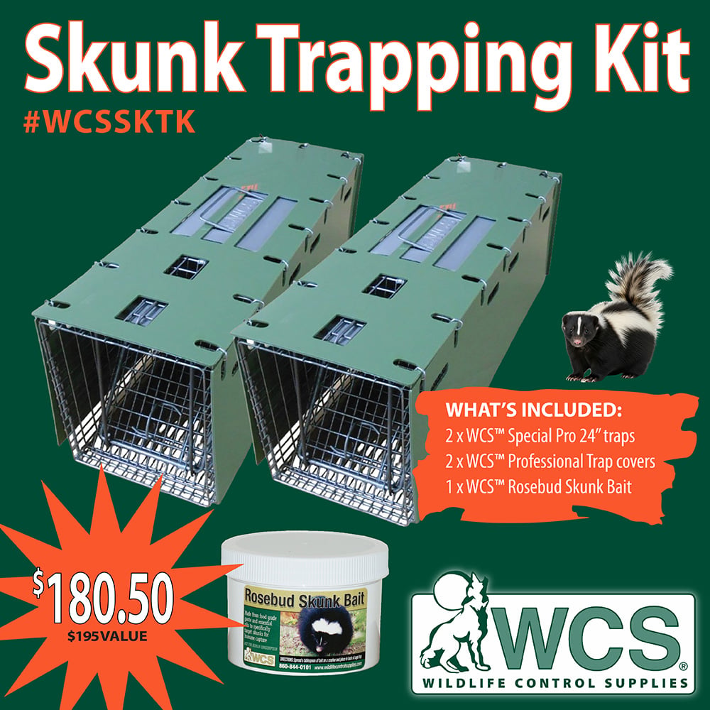 ShopWCS's tweet photo. Love is in the air, its skunk breeding season! Get our very popular Skunk Trapping Kit with everything you need for trapping skunks! #wcs #wildlifecontrolsupplies #skunk #skunktrapping #trapping

https://t.co/5Et6sx5daO https://t.co/fTKatZmESj
