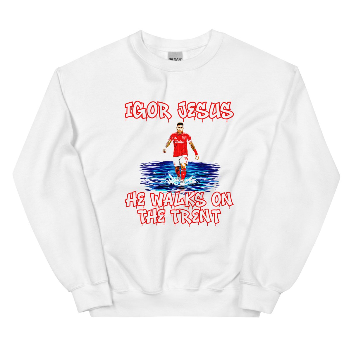 Nottingham Reds tweet media