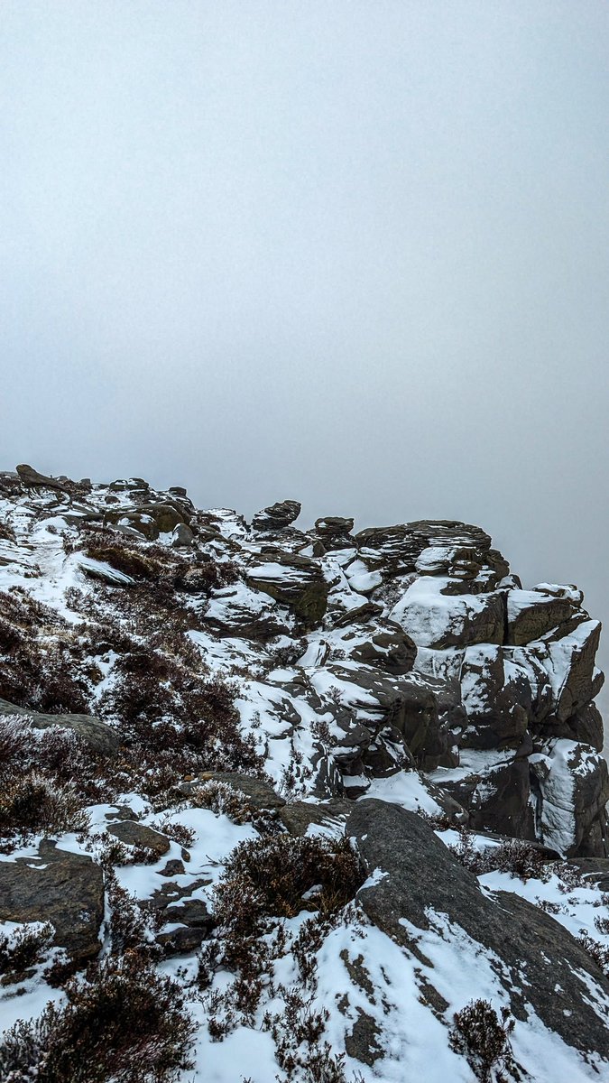 Sarah Lister tweet media