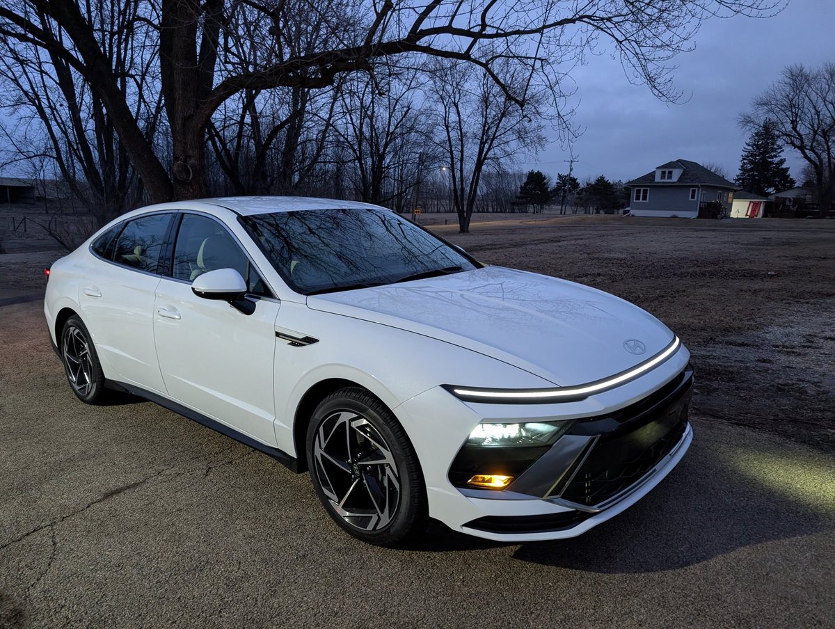 Bacon sheppy tweet media