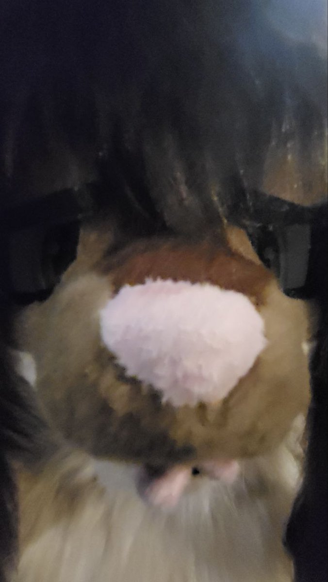 Kushper➡️NFC tweet media