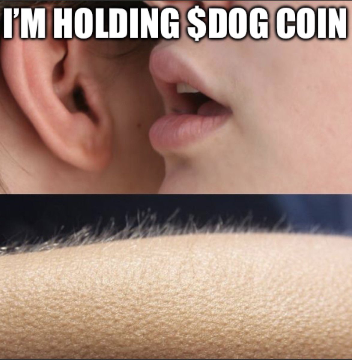 JJ (@jjonthechain) on Twitter photo 