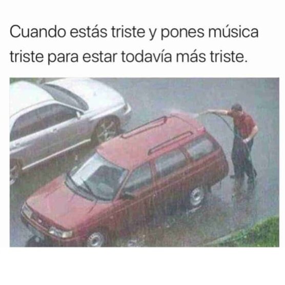 Vanessa Glez tweet media