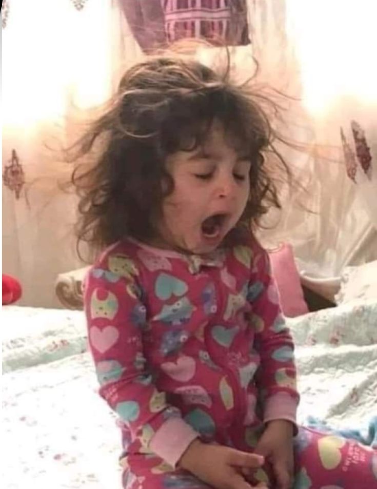 خانم آریا tweet media