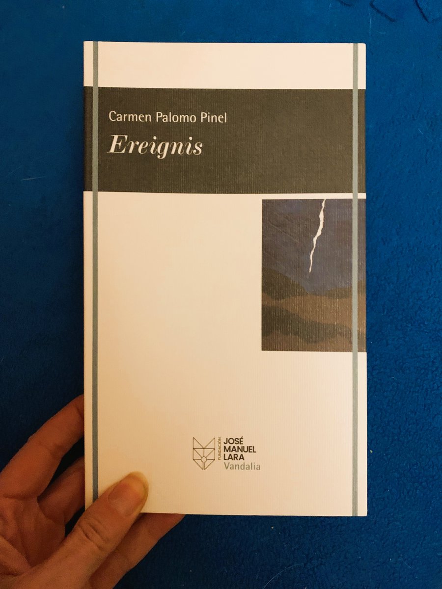 Gabriela tweet media