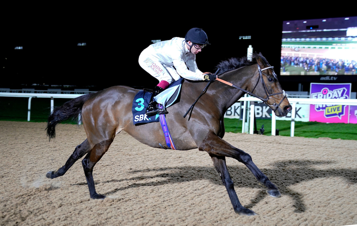Great scenes at Southwell tonight.
📸 focusonracing.com