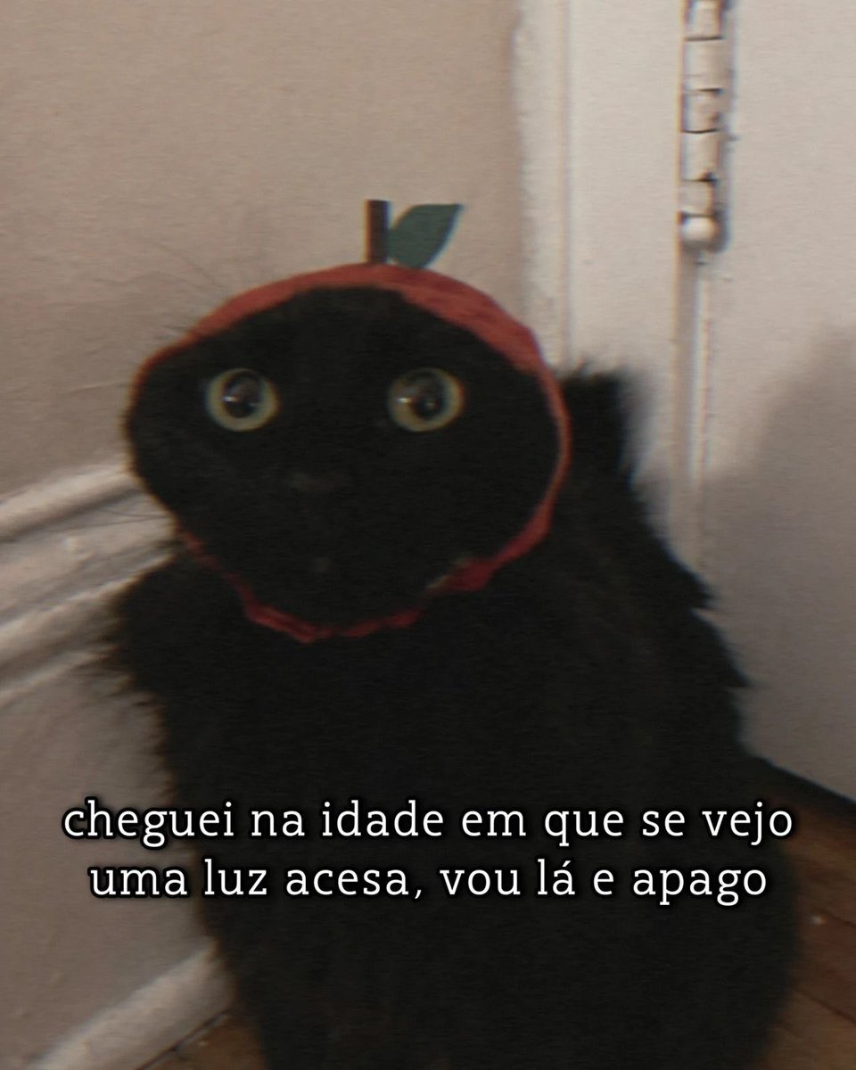 Pagina lixo (@paginalixo1) on Twitter photo 