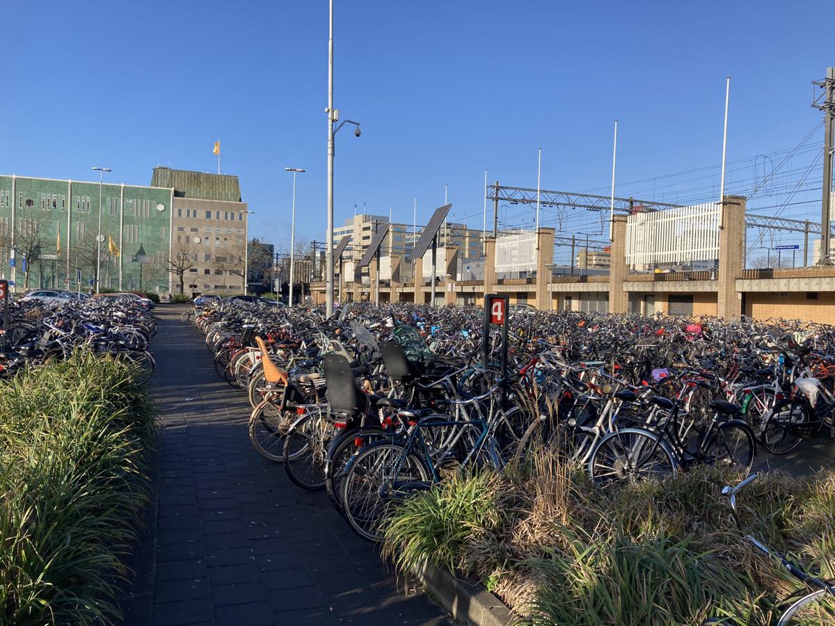 Can Peter Nibs tweet media