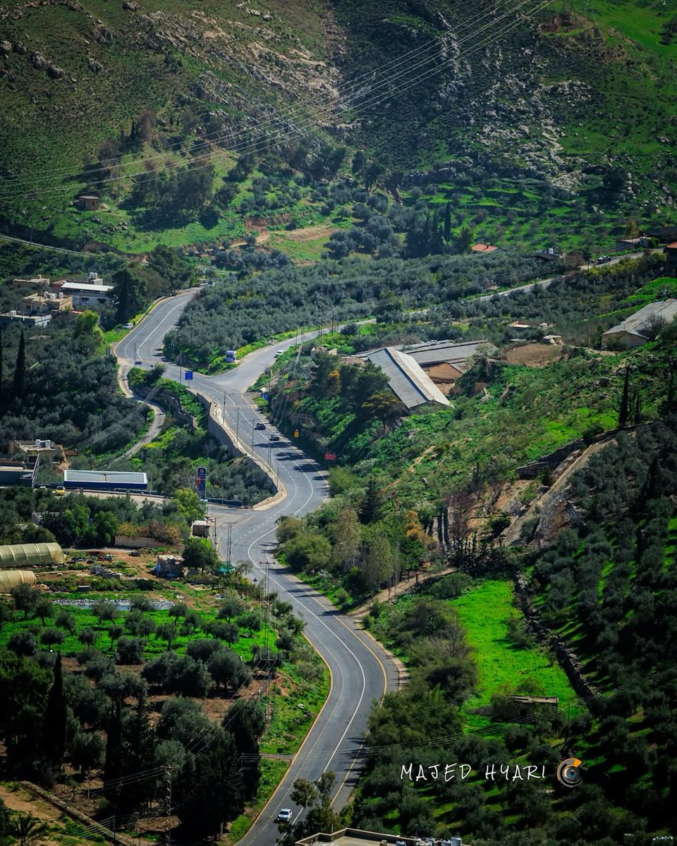 هاشمية 🇯🇴 tweet media