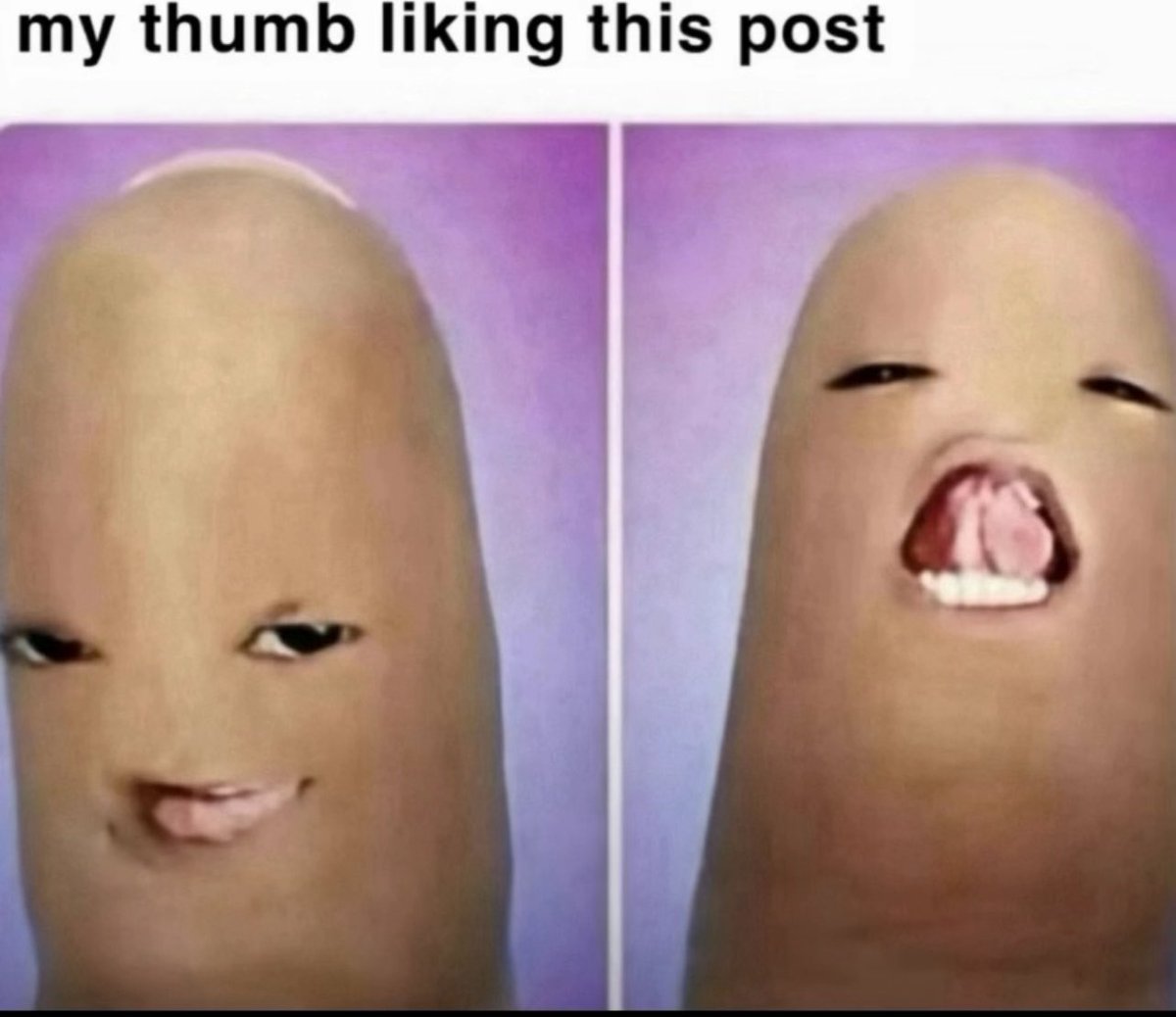 Tyrr⁷ᵏ tweet media