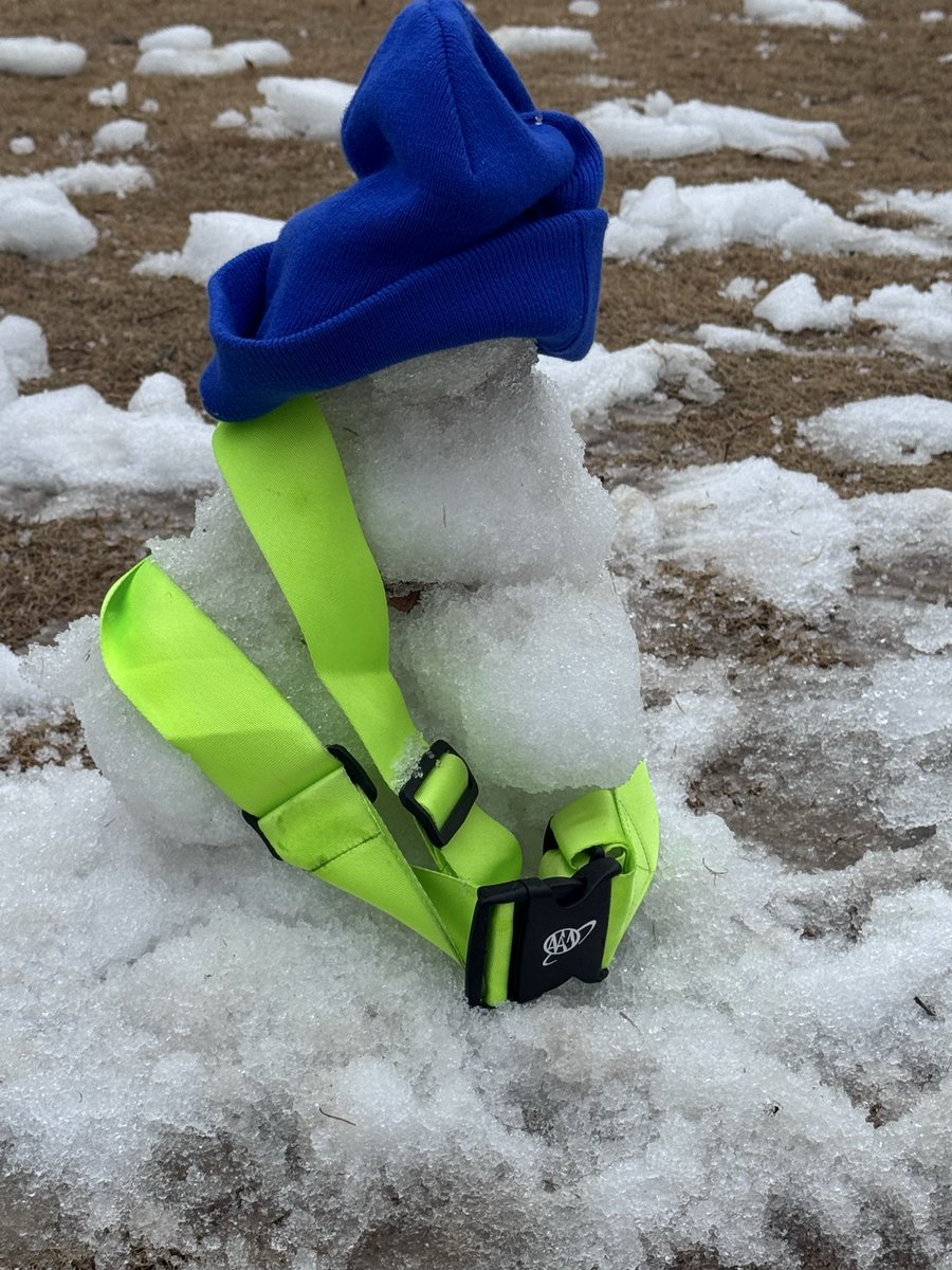 Sheena Blue tweet media