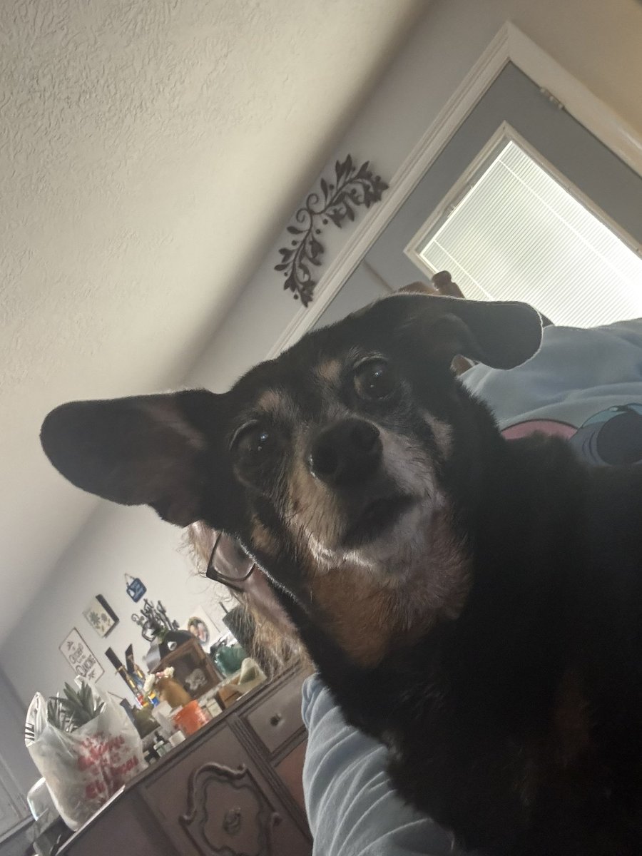 Angel Roberts tweet media