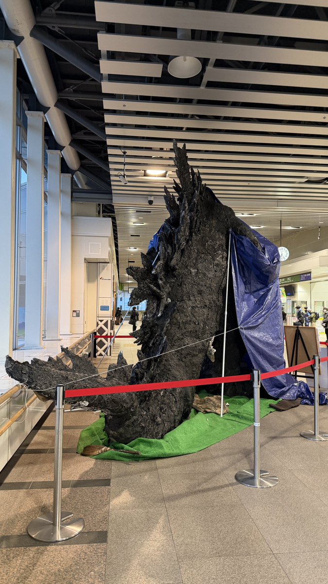 伊藤恵 (@meggmog) / Posts / X