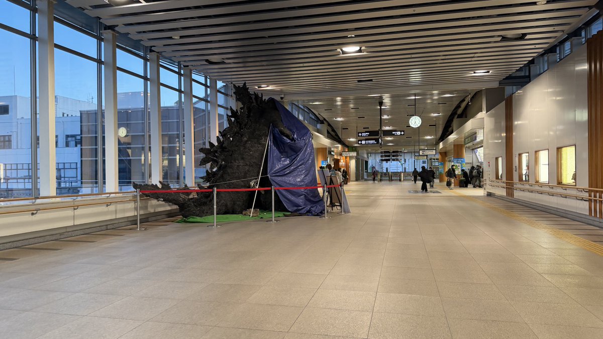 伊藤恵 (@meggmog) / Posts / X