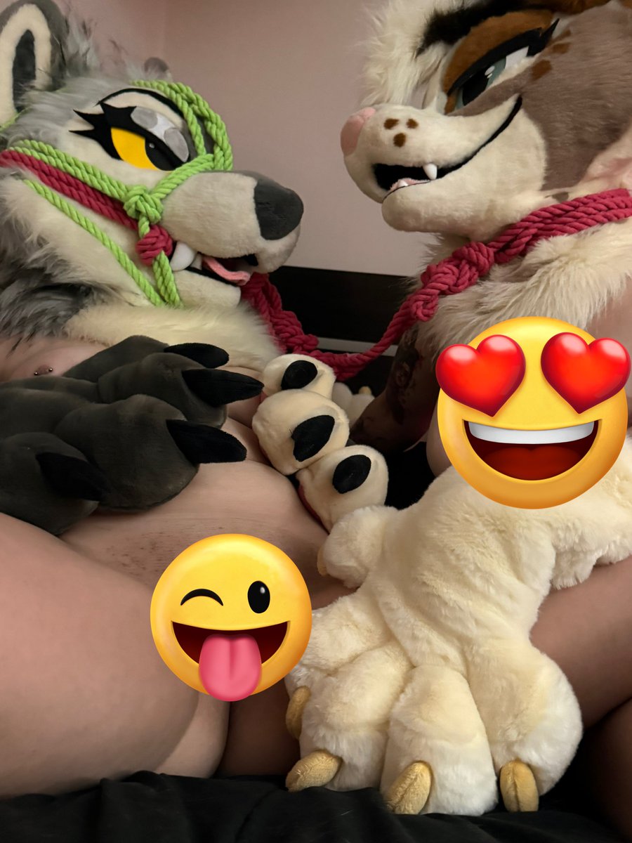 The Midnight Howl tweet media