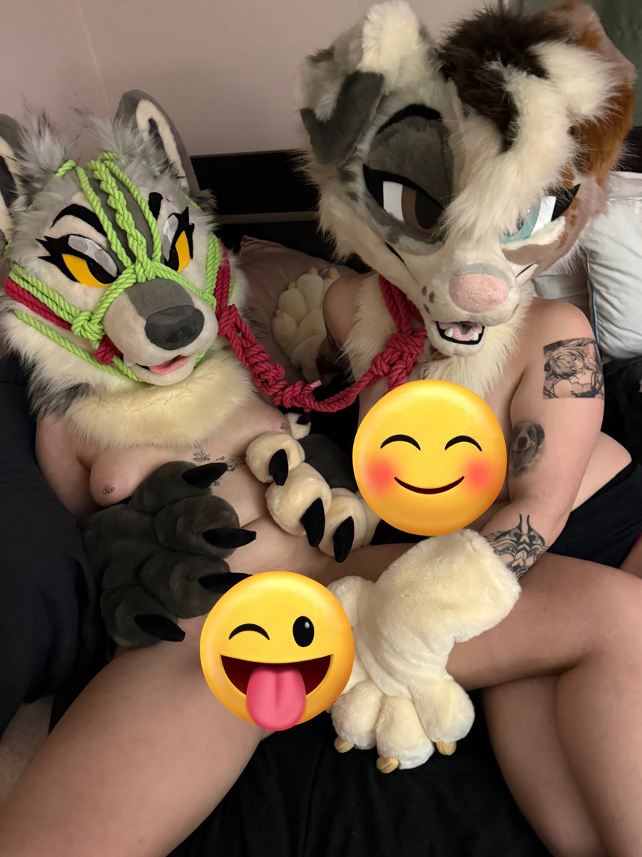 The Midnight Howl tweet media