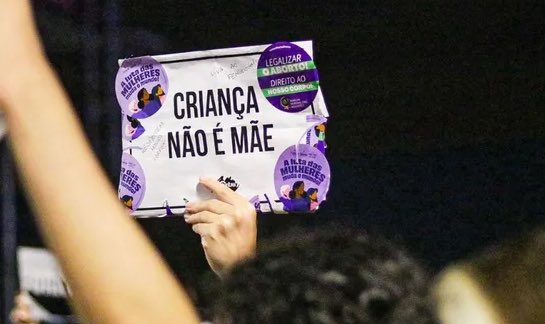 Sâmia Bomfim tweet media