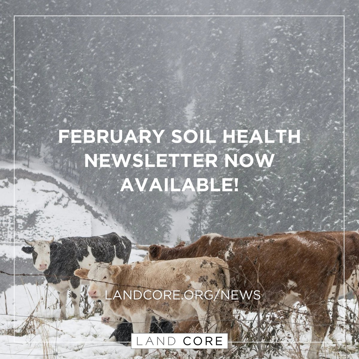 📬 ICYMI: Land Core's February #SoilHealth Newsletter is out!

landcore.org/news-post/febr…