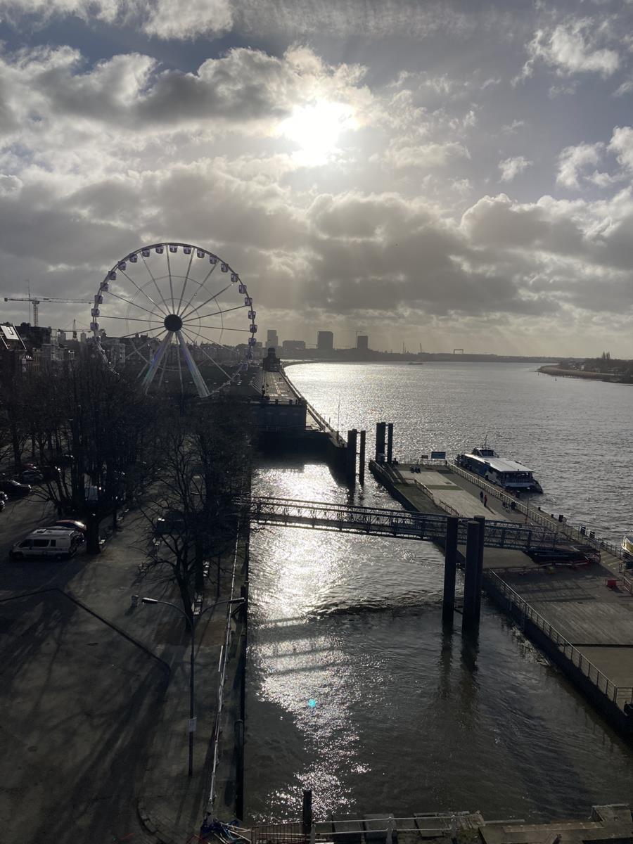 Can Peter Nibs tweet media