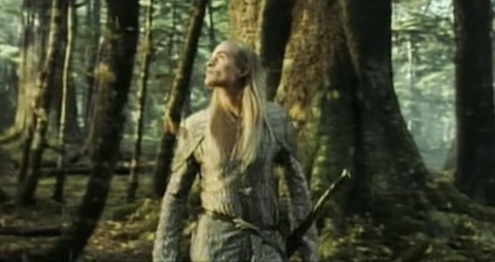 tyler ☠︎︎ tweet media