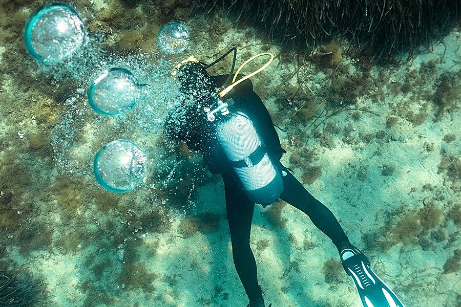 WetTribe's tweet photo. 2023–2025 marked the fourth global bleaching event, with 84% of world reefs affected by extreme marine heatwaves. Bleaching events occur every 3-5 years, far faster than the 10-15 years needed for recovery. #WetTribe #TidetotheOcean #FridayFieldUpdate https://t.co/XAbpftKV8U