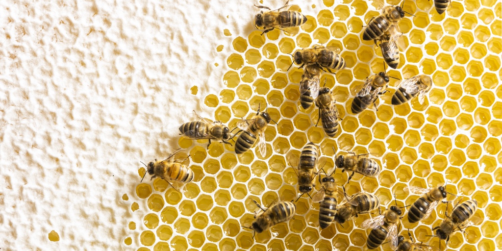 Faculty of Science, University of Alberta tweet media