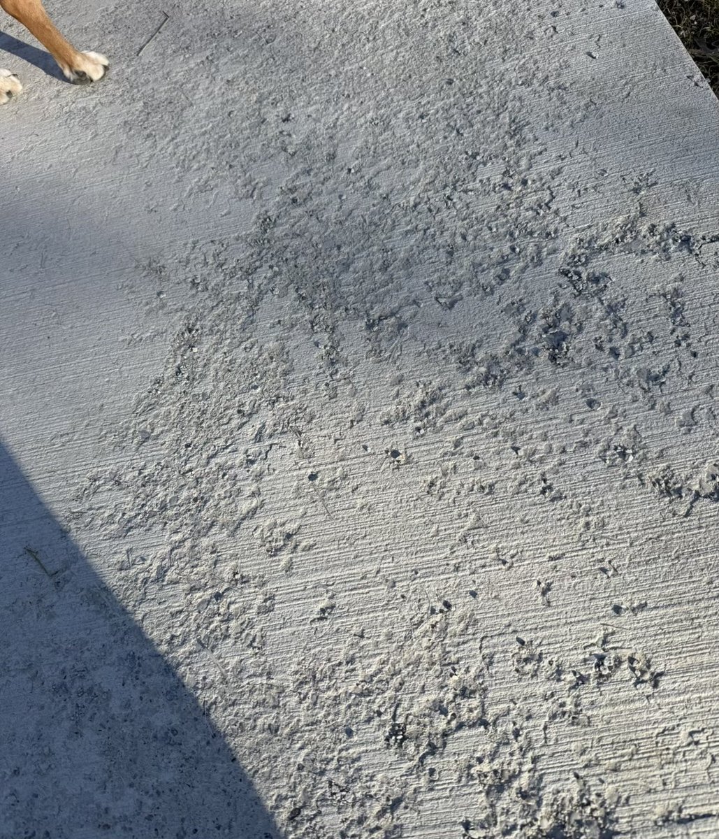 𝗰𝗵𝗿𝗶𝘀 𝗯𝗿𝗶𝗲𝗺 tweet media