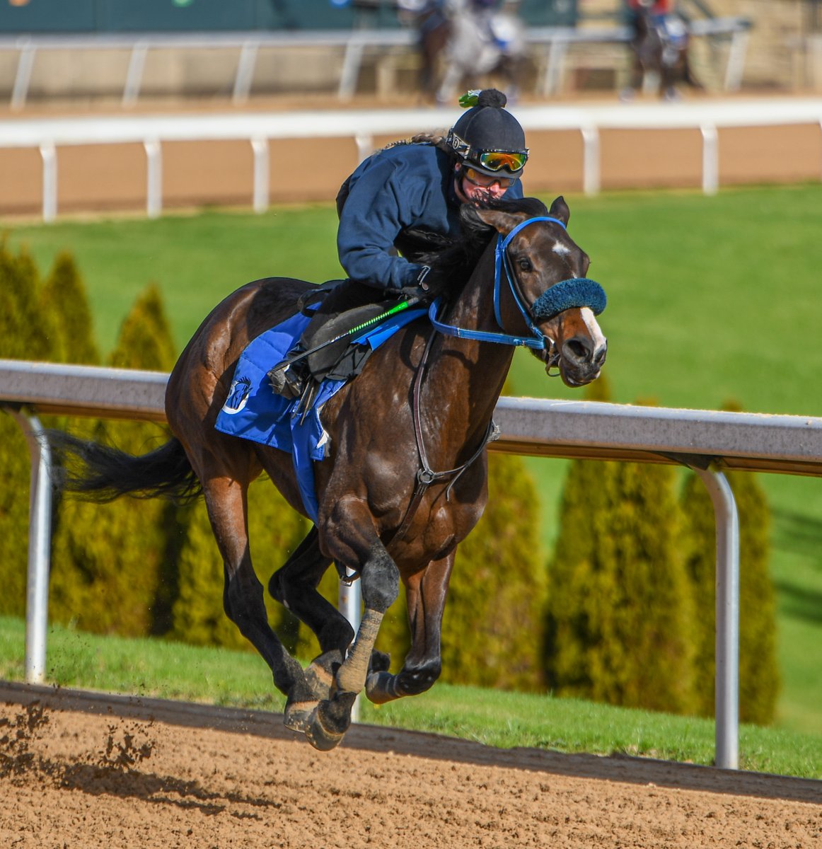 Robert Yates tweet media