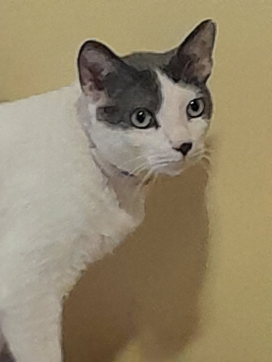 booplesgear tweet media