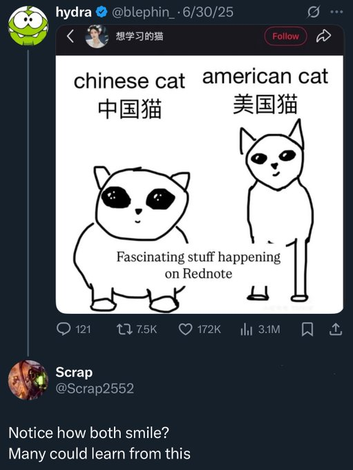 hydra (@blephin_) on Twitter photo 